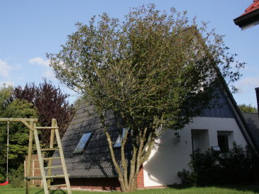 Ferienhaus Baust
