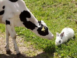 Appartamento per vacanze Ultental Ambiente 32