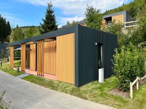 Holiday park Modernes Ferienhaus mit Whirlpool in Winterberg - Winterberg - image1