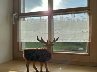 Appartamento Prackenbach  36