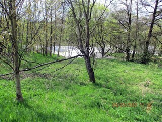 Apartment Prackenbach Environment 32