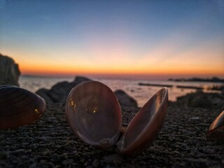 Roulotte Privlaka  23