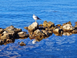 Wohnwagen Privlaka  9