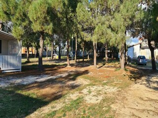 Trailer Privlaka  21