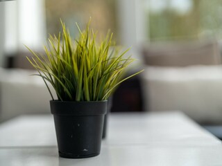 Casa de vacaciones Baarland  39