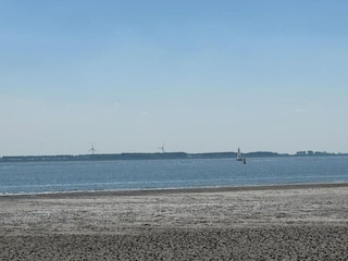 Maison de vacances Baarland Environnement 31