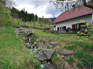 Creek with bridge