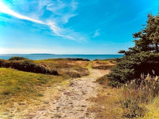 Ferienhaus Trend Außenaufnahme 6