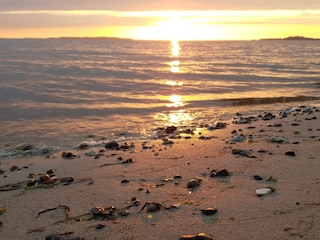 Vakantiehuis Trend  34