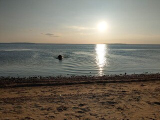 Ferienhaus Trend  32