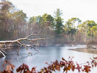 Vakantiepark Riethoven Omgeving 20