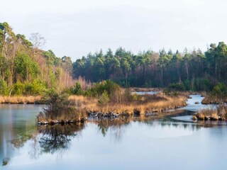 Vakantiepark Riethoven Omgeving 21