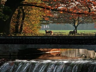 Vakantiepark Riethoven Omgeving 16