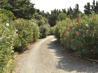 Appartamento per vacanze Bizanet Registrazione all'aperto 4