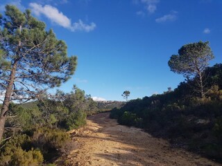 Appartamento per vacanze Bizanet Ambiente 15