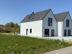 Ferienhaus Elisa, Haus mit Kamin, Sauna, Terrasse - Dranske - image1