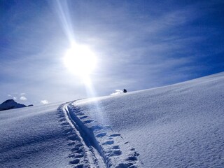 Skigenuss im Pulverschnee