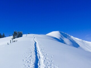 Skitouren mit einzigartigem Panorama