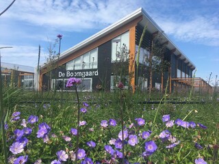 Chalet Westkapelle Buitenaudio-opname 1