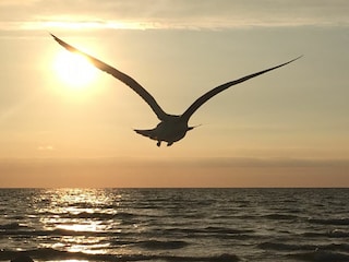 Träumen am Meer - zu jeder Tages- und Jahreszeit