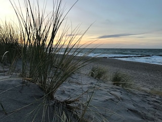 endlose Strände auf der Halbinsel Fischland-Darß-Zingst