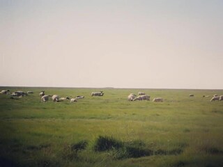 Parc de vacances Sains Environnement 26
