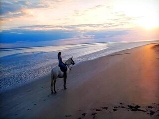 Ferienpark Sains Umgebung 32