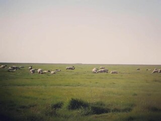 Parc de vacances Sains Environnement 24