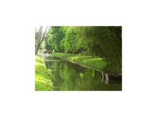 Parque de vacaciones Richelieu Entorno 27