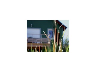Holiday park Richelieu Outdoor Recording 17