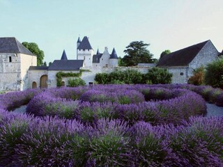 Vakantiepark Richelieu Omgeving 23