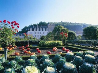 Vakantiepark Richelieu Omgeving 30