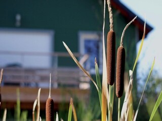 Vakantiepark Richelieu  36