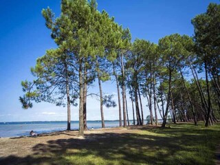 Vakantiepark Parentis Omgeving 23