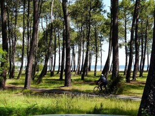 Vakantiepark Parentis Omgeving 19