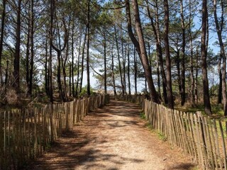 Vakantiepark Parentis Omgeving 21