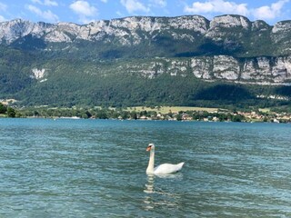 Parc de vacances Annecy Environnement 11