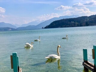 Parc de vacances Annecy Environnement 32