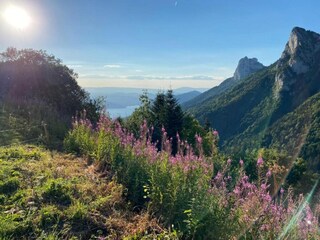 Vakantiepark Annecy Omgeving 30