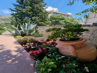 Apartamento Dubrovnik  8