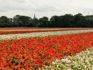 Appartamento Sint Maartensbrug Ambiente 21