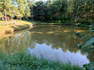 Holiday house Dzierzazno Male Outdoor Recording 5