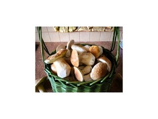 Holiday house Dzierzazno Male Features 23