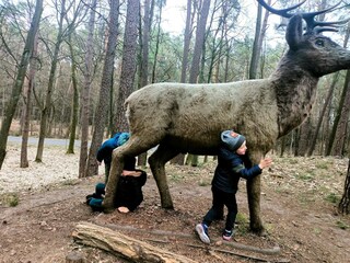 Casa per le vacanze Dzierzazno Male Registrazione all'aperto 12