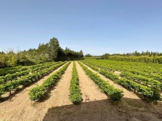 Vakantiepark Aubignan Omgeving 50