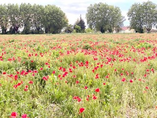 Ferienpark Aubignan Umgebung 57