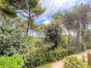 Parc de vacances Aubignan Environnement 61