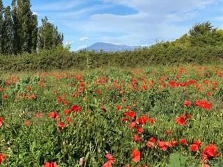 Parc de vacances Aubignan Environnement 27