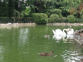 Parc de vacances Homps Environnement 25