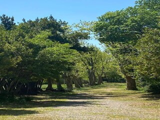 Parc de vacances Homps Environnement 33